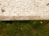 image of grave number 808886